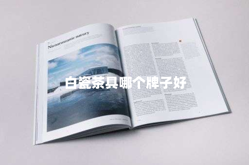 白瓷茶具哪个牌子好