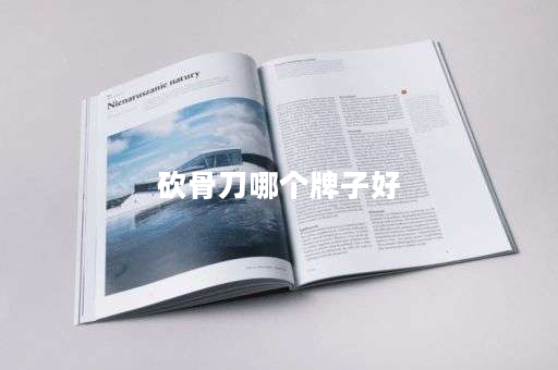砍骨刀哪个牌子好