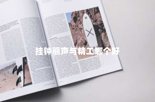 详细阅读:挂钟丽声与精工哪个好 挂钟丽声与精工哪个好