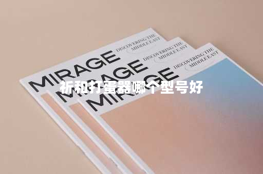 祈和打蛋器哪个型号好