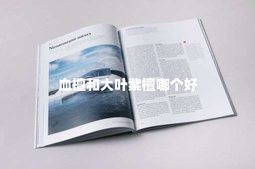 血檀和大叶紫檀哪个好