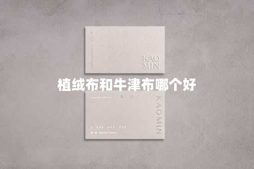 植绒布和牛津布哪个好