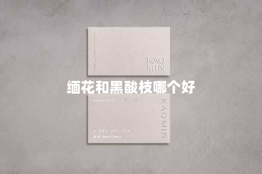 缅花和黑酸枝哪个好