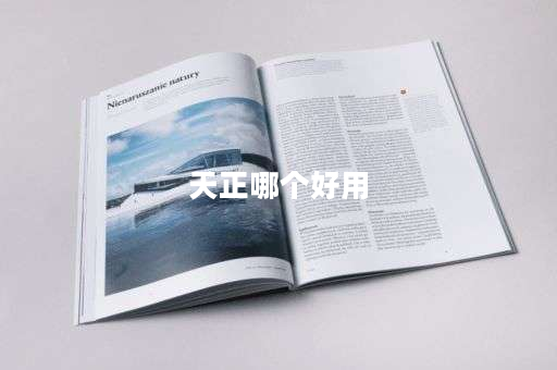 天正哪个好用