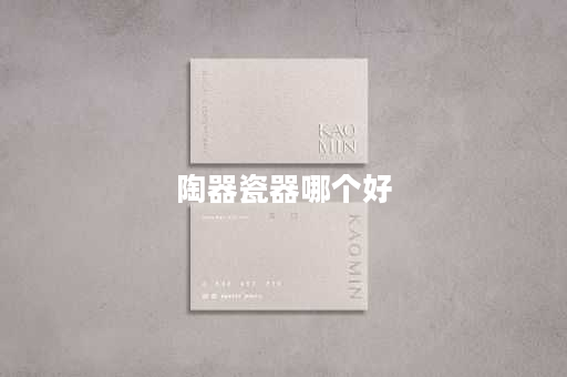 陶器瓷器哪个好
