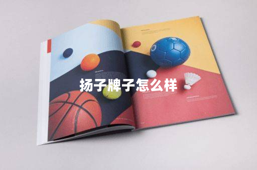 扬子牌子怎么样