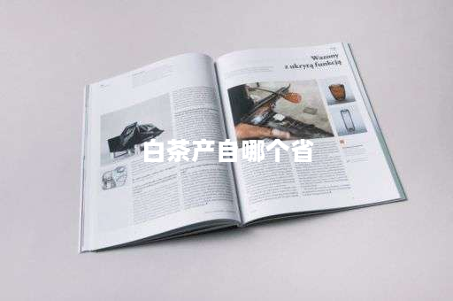白茶产自哪个省