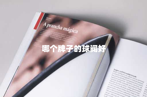 哪个牌子的球阀好