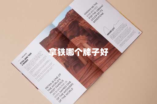 拿铁哪个牌子好