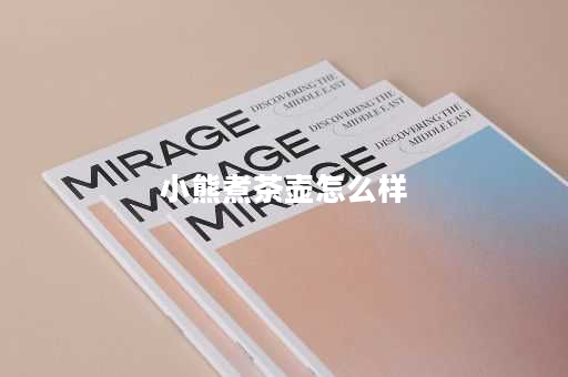 小熊煮茶壶怎么样
